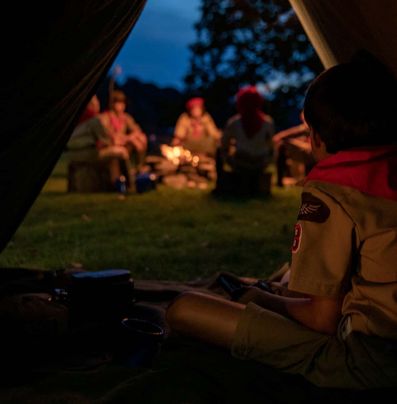 A boy scout looking out from a tent.